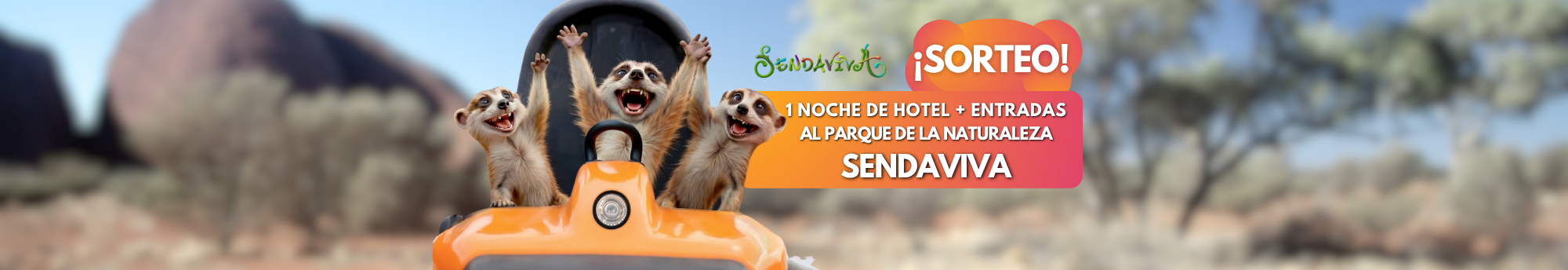 Slide Home 1