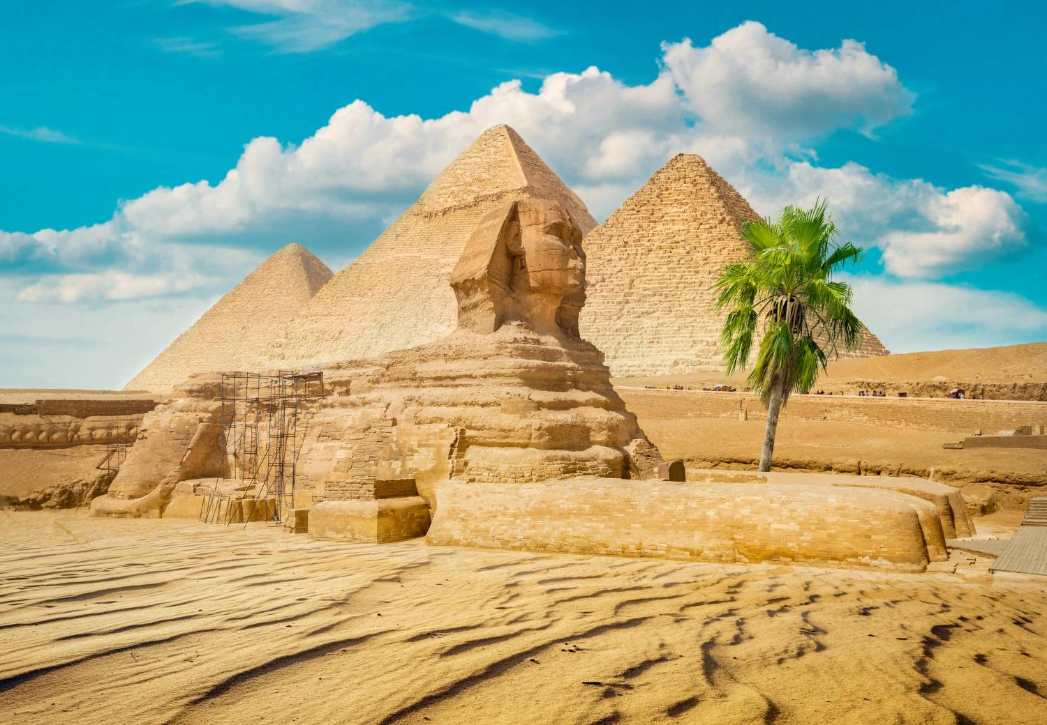 🛕¡DESCUBRE LOS TESOROS DE EGIPTO!🏜️ 8 DÍAS Y 7 NOCHES con Vuelo desde MADRID Y BARCELONA, Crucero 5* por el Nilo y Hotel 5* en el Cairo 🐪