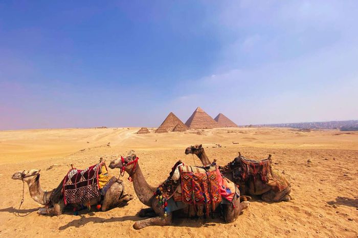 🐪8 DÍAS Y 7 NOCHES POR EGIPTO🏜️✈️ Vuelos + Crucero por el Nilo y + Cairo con visitas incluidas y opción de Abu Simbel | 📅¡Hasta diciembre!
