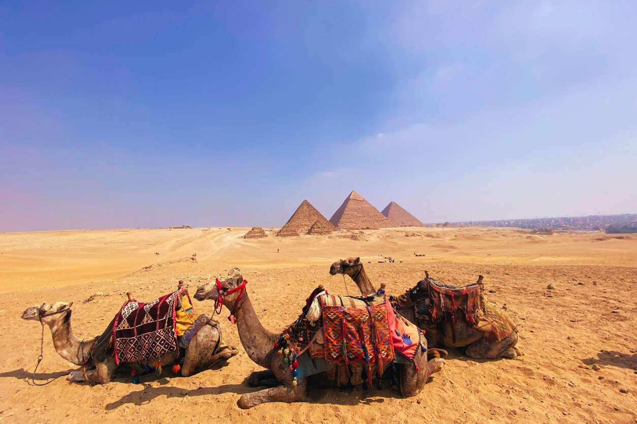 🐪8 DÍAS Y 7 NOCHES POR EGIPTO🏜️✈️ Vuelos + Crucero por el Nilo y + Cairo con visitas incluidas y opción de Abu Simbel | 📅¡Hasta diciembre! 🐪8 DÍAS Y 7 NOCHES POR EGIPTO🏜️✈️ Vuelos + Crucero por el Nilo y + Cairo con visitas incluidas y opción de Abu Simbel | 📅¡Hasta diciembre!