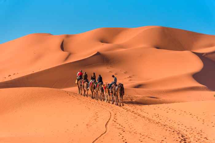 🏜️¡3 NOCHES EN MARRUECOS CON VUELOS DIRECTOS!  🕌🐪Marrakech + Zagora, la puerta de entrada al Gran desierto con  3 desayunos y 1 cena