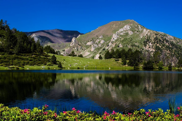 🌲¡VERANO ENTRE MONTAÑAS EN ANDORRA! 🏘️ Desde 2 noches: Hotel 3★ con  desayuno y 💥-50% en niños💥  | Encamp