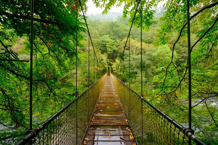 🌄🏡 ¡ESCAPADA CON ENCANTO ENTRE LOS BOSQUES DE GALICIA!🌲💚 Hotel 3★ con desayuno en un entorno natural idílico junto a Fragas do Eume | A Capela