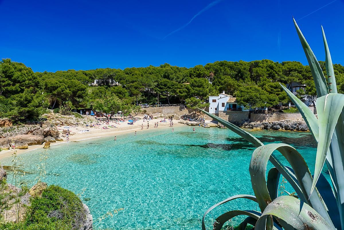 📍⛱️¡MALLORCA CON NIÑOS AL -50%! 🚢 Desde 5 noches: Ferry con tu coche + Hotel 3★ con desayuno a 10 min de la playa  | Cala Ratjada