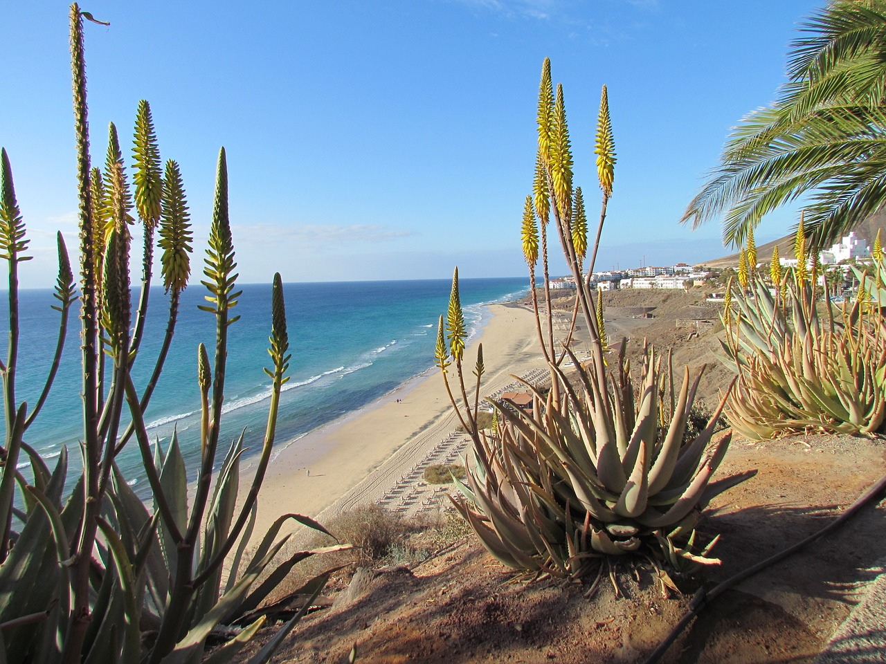 Fuerteventura, Playas Paradisíacas y Volcanes 🌋