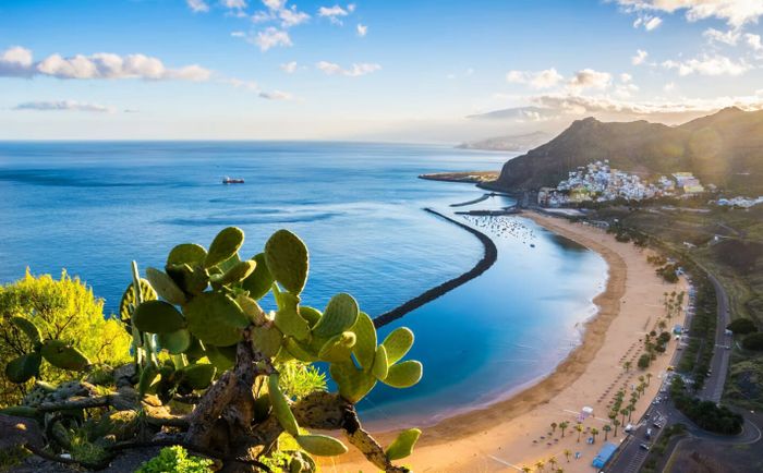 🌋🏝️¡ESTE VERANO A TENERIFE! 👨‍👩‍👧‍👦✈️ Desde 4 noches: Vuelos +  MEDIA PENSIÓN en hotel 3★ y -50% en niños al lado de la playa | Los Realejos