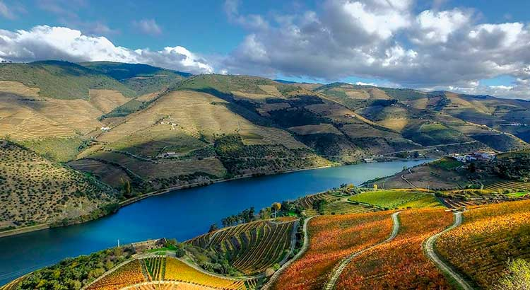 Cruzeiros Douro com Saída do Porto