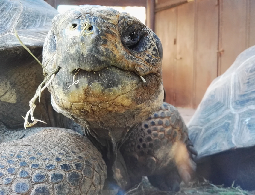 Bioparc Fuengirola-5