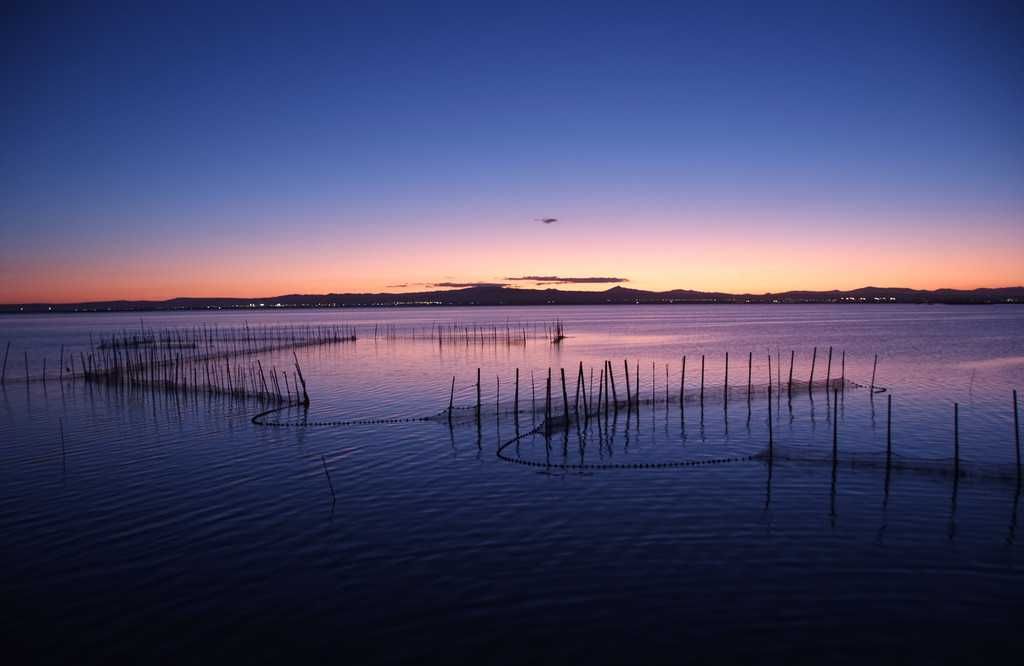 Paseo en Barca por La Albufera - Valencia-7