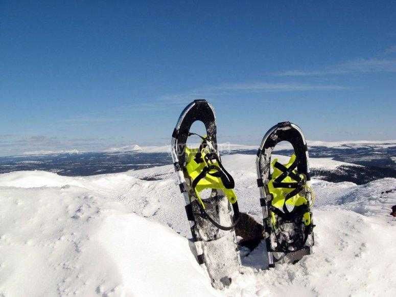 Raquetas de Nieve - Andorra-3