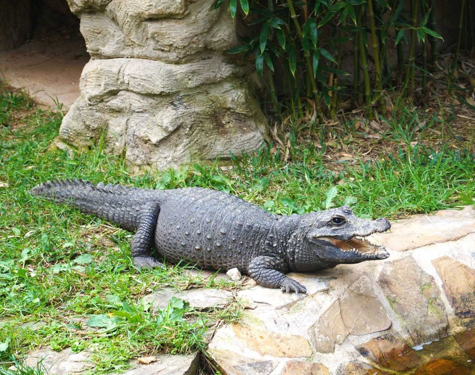 Zoo de Lagos-2
