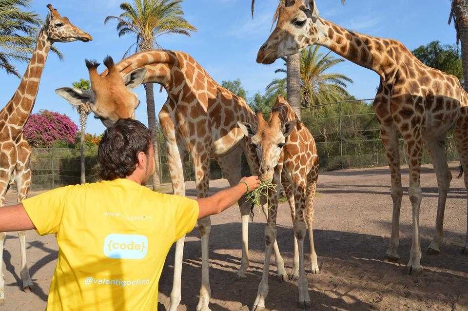 Oasis Park Fuerteventura-5