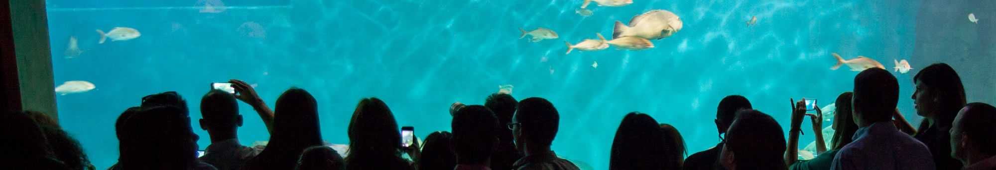 Billets d'entrée à l'Aquarium de Séville