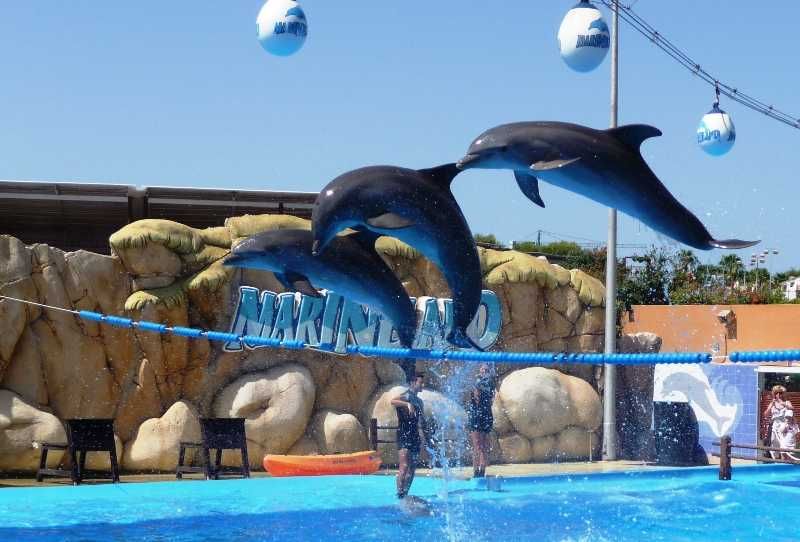 Marineland Mallorca-1
