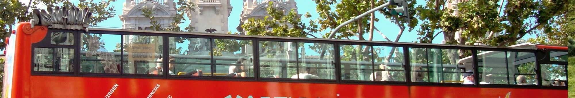 Bus turístico y Paseo en Barca por La Albufera - Valencia