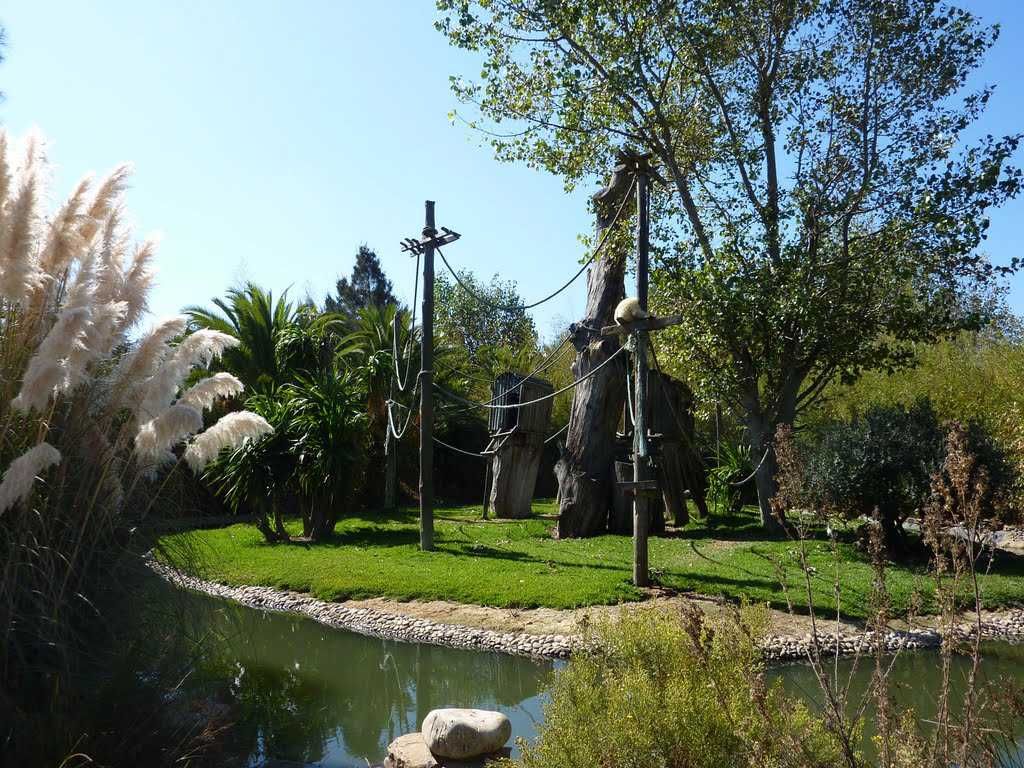 Zoo de Lagos-3