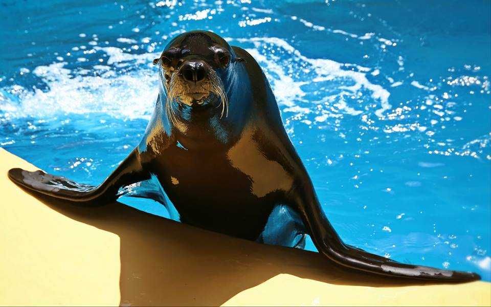 Loro Parque-4