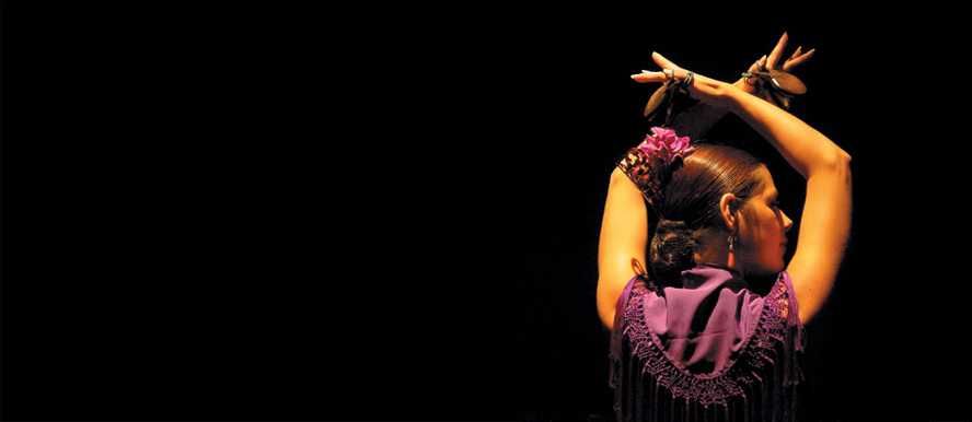 Espetáculo Flamenco no Pátio Sevilhano-4