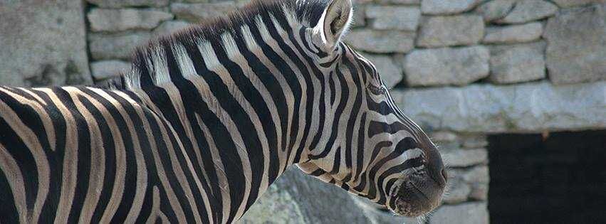Zoo Marcelle-3