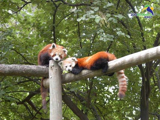 Zoobotánico de Jerez