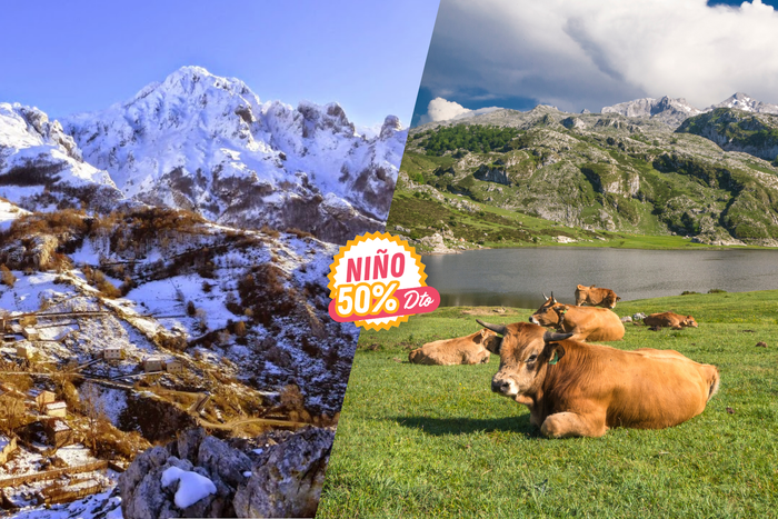 🏞️ASTURIAS ¡NATURALEZA Y PUEBLOS CON ENCANTO!🌲🏘️ Hotel 4⭐con desayuno y habitación superior y -50% en niños | El Berrón