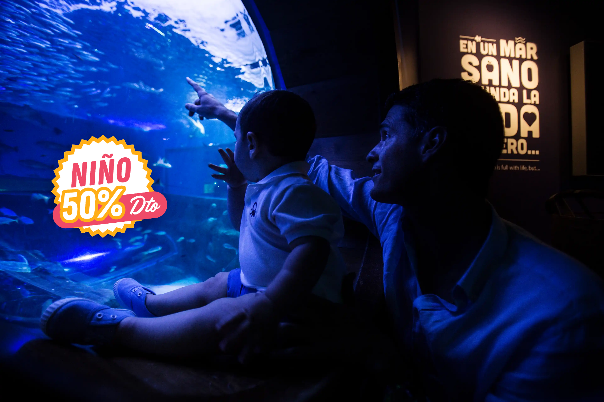 🦈ACUARIO DE SEVILLA ¡UN FASCINANTE VIAJE AL OCÉANO!👨‍👩‍👧‍👦🌊Desde 2 noches: Estudios familiares con desayuno + Entradas  y 💥-50% en niños