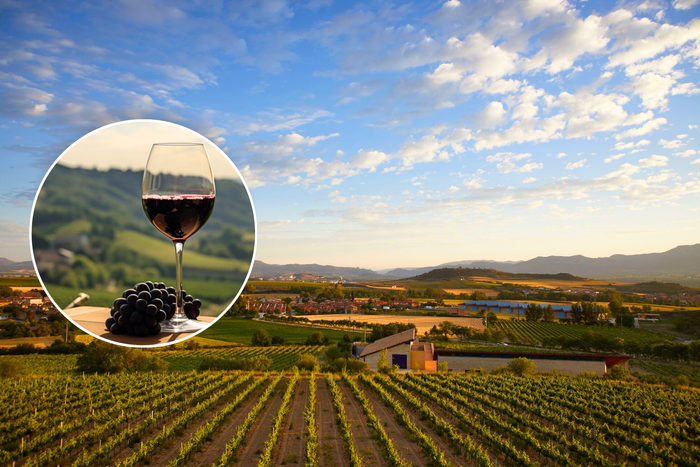 🍷¡BRINDA EN LAS BODEGAS CVNE DE HARO! 🍇Desde 2 noches: Apartamentos + Visita, cata y degustación de queso  | La Rioja