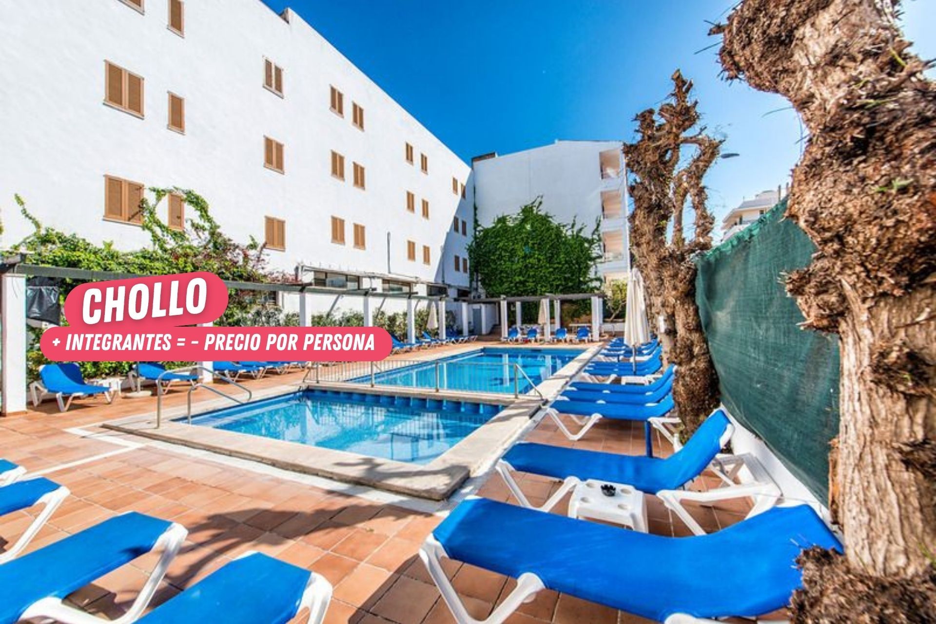 🏝️🤑¡LOS APARTAMENTOS QUE BUSCABAS EN MALLORCA!🚢👨👩👧👦 Desde 4 noches: Ferry con tu coche + Apartamentos a un paso de la playa | S´Illot 🏝️🤑¡LOS APARTAMENTOS QUE BUSCABAS EN MALLORCA!🚢👨👩👧👦 Desde 4 noches: Ferry con tu coche + Apartamentos a un paso de la playa | S´Illot