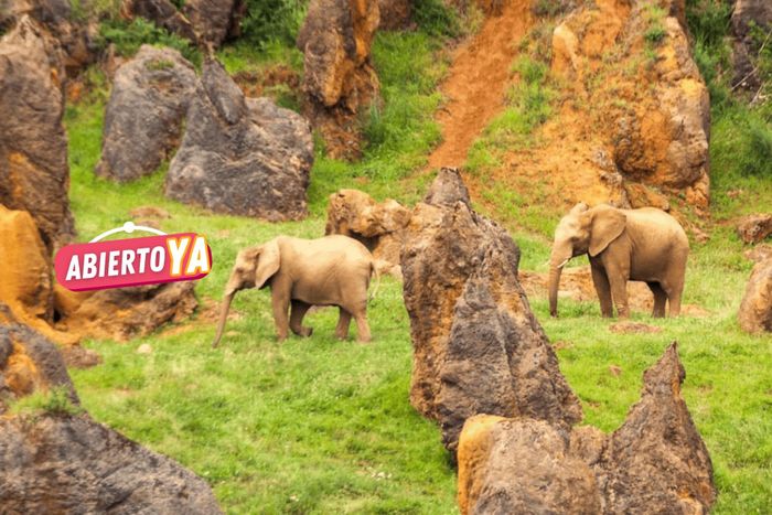 🦒CABÁRCENO, ¡UN PLAN PERFECTO EN CANTABRIA!👨‍👩‍👧‍👦 Desde 2 noches: Apartamentos entre la naturaleza y la playa + Entradas  | Soto de la Marina