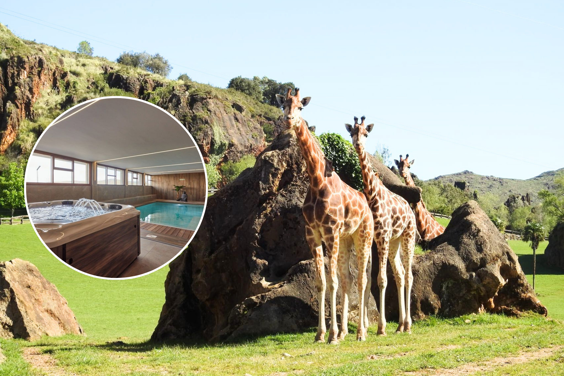 🦒🫧¡ESCAPADA RELAX A CANTABRIA Y CABÁRCENO!🏘️🌄 Estudios + 1 Acceso diario al SPA por persona + Entradas al parque | Nestares, Reinosa