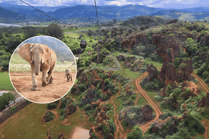 🦒🌲CABÁRCENO ¡TU PAREJA Y TÚ, ANIMALES Y NATURALEZA!🏕️ 👨‍👩‍👧‍👦Desde 2 noches: Bungalow con desayuno + Entradas al parque | Cantabria