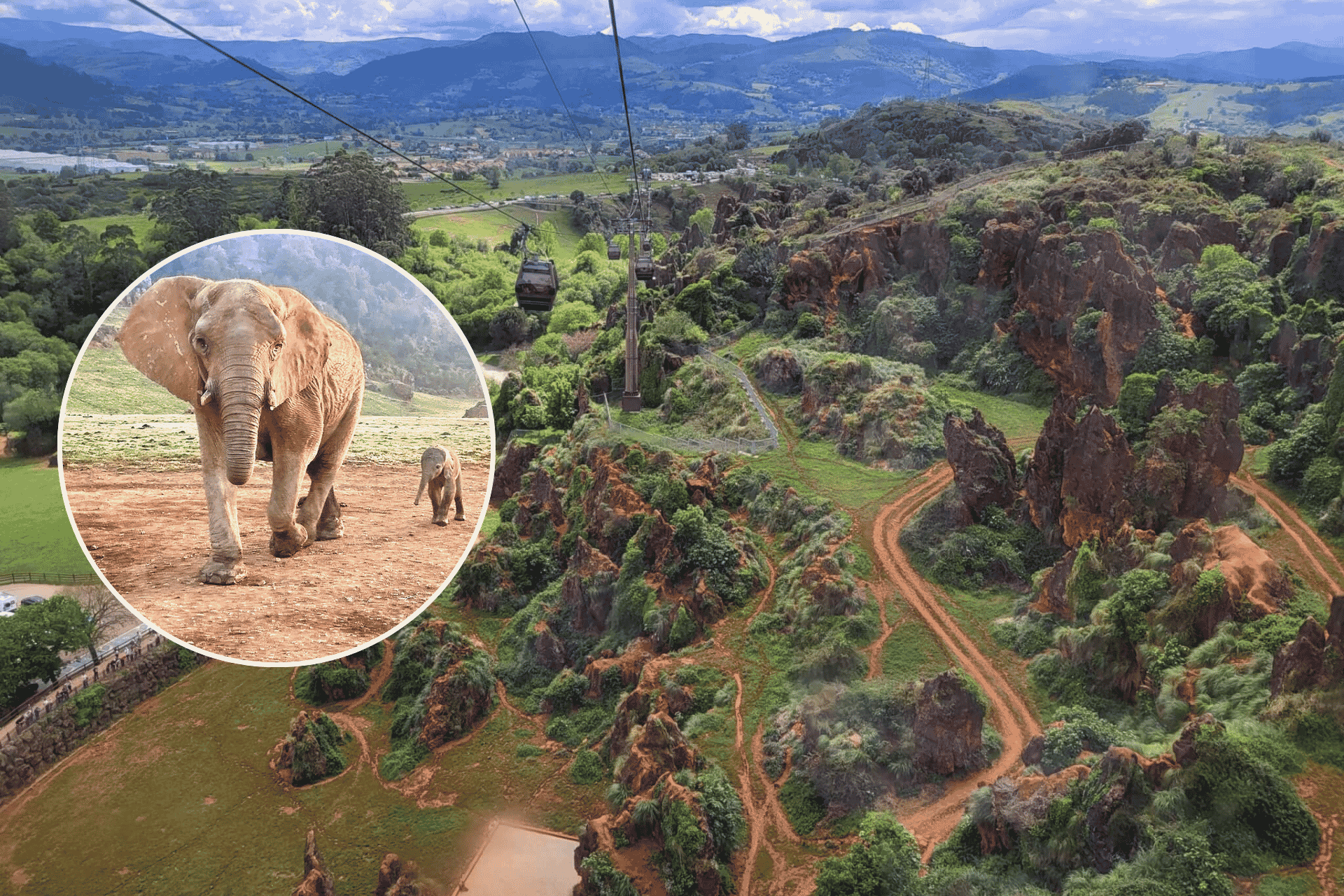 🦒🌲CABÁRCENO ¡UNA ESCAPADA MUY SALVAJE!🏕️ 👨👩👧👦 Bungalow en camping + Entradas al parque | Cantabria 🦒🌲CABÁRCENO ¡UNA ESCAPADA MUY SALVAJE!🏕️ 👨👩👧👦 Bungalow en camping + Entradas al parque | Cantabria