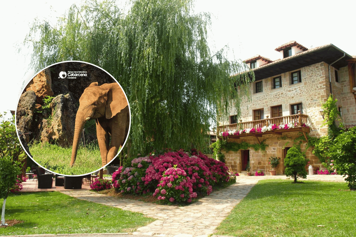 🦒¡ESCAPADA ENTRE ANIMALES Y NATURALEZA!🌳Hotel en Novales con desayuno + Entadas a CABÁRCENO | Cantabria