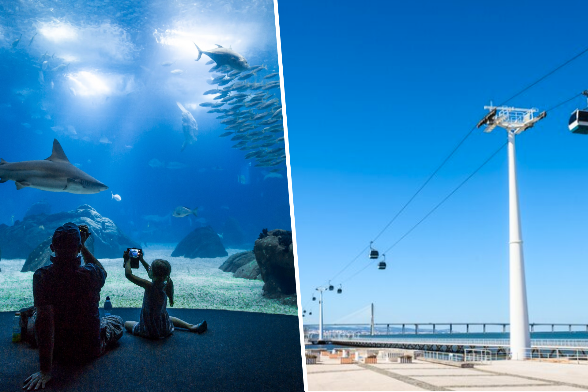 🦈 Explore as Profundezas dos Oceanos no Oceanário com Estadia no Parque das Nações | Lisboa