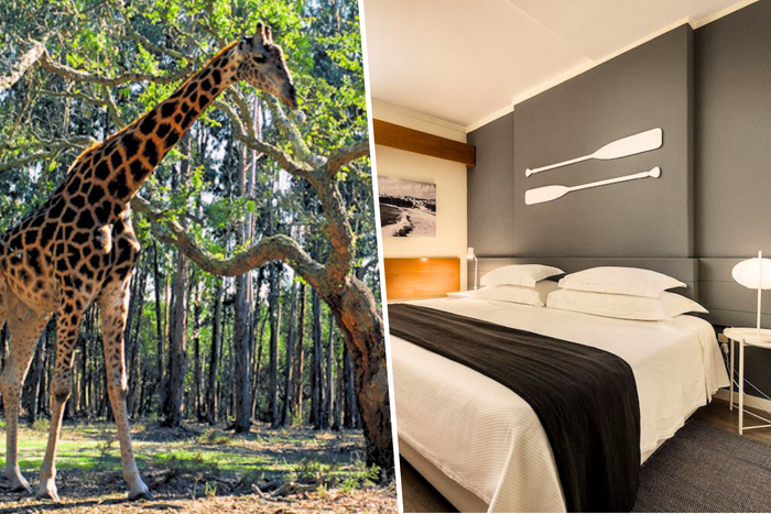 🦒 Visita ao Safari Alentejano e Hotel 4* com Pequeno-Almoço incluído | Vila Nova St. André 
