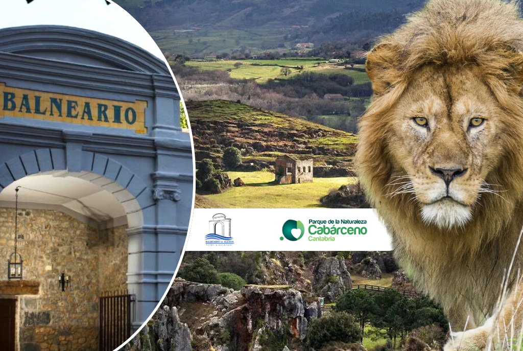 🫧¡PLANAZO PARA PAREJAS EN CANTABRIA🦁 Hotel 3* + Entradas a Cabárceno +  Acceso a Piscina interior y opción de añadir Baño termal