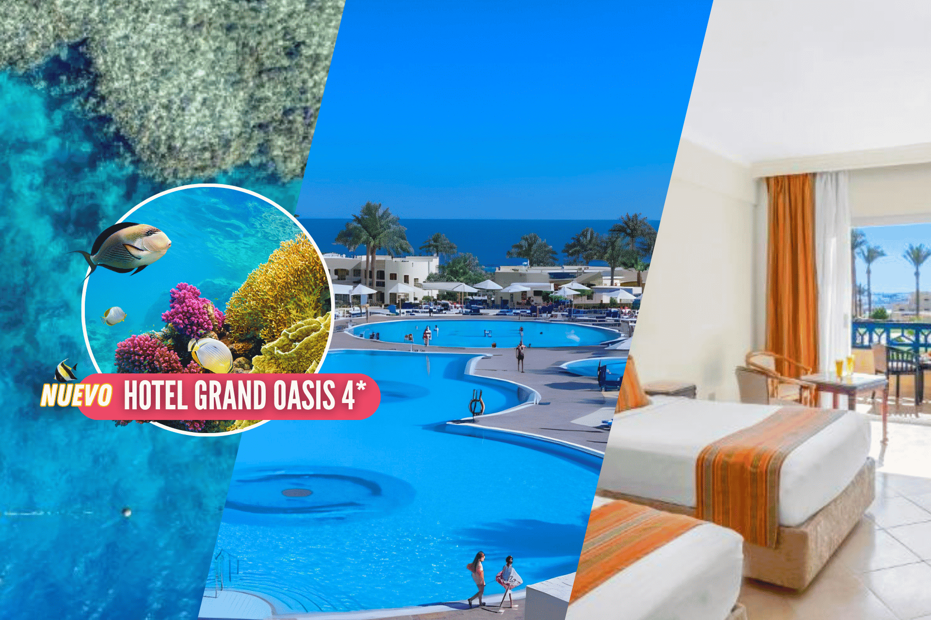 🐚🏖️SHARM EL SHEIKH, ¡el paraíso del Mar Rojo egipcio!🍸🤿 7 noches con TODO INCLUIDO + Vuelos directos ¡ideal para parejas!