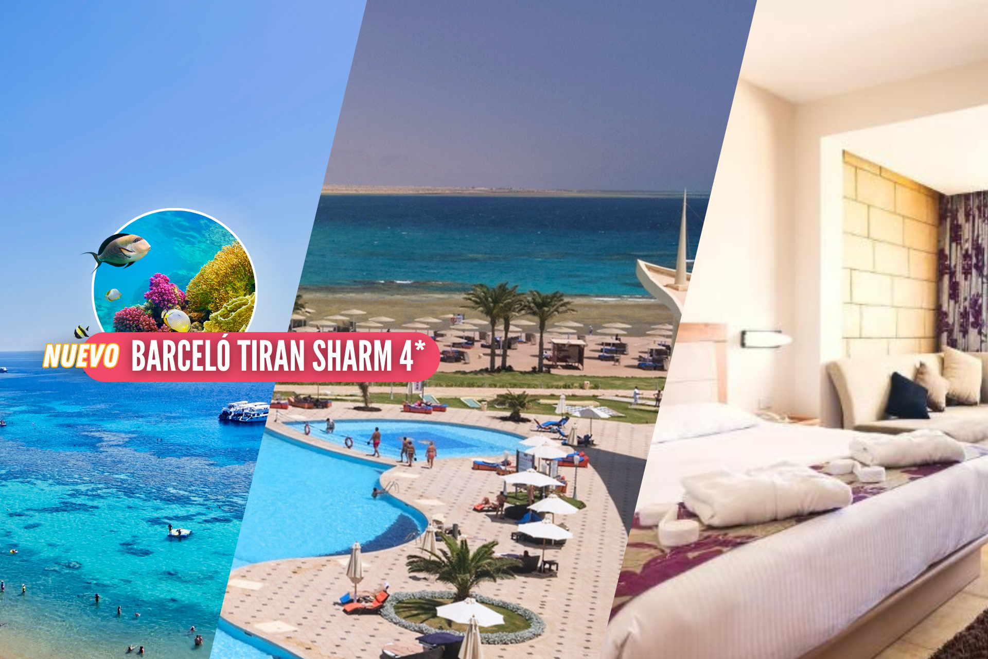 🍸¡TODO INCLUIDO EN EL MAR ROJO EGIPCIO!🏖️Vuelos Directos + 7 Noches en SHARM EL SHEIKH + City tour 🏨¡Un Barceló frente al Mar y con DTO en niños! 🍸¡TODO INCLUIDO EN EL MAR ROJO EGIPCIO!🏖️Vuelos Directos + 7 Noches en SHARM EL SHEIKH + City tour 🏨¡Un Barceló frente al Mar y con DTO en niños!