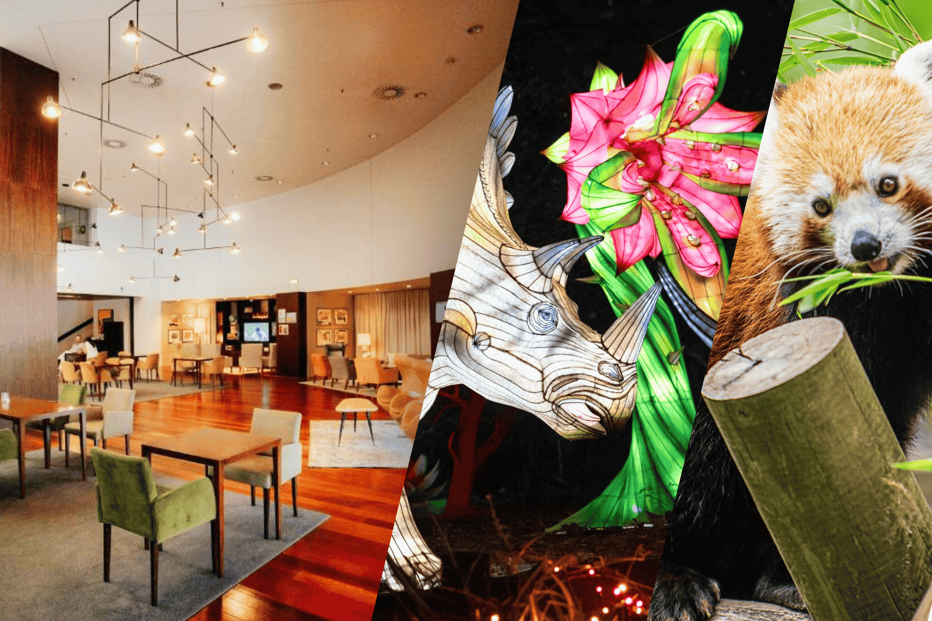 Gaia Residences + Zoo Santo Inácio, um programa para toda a família!