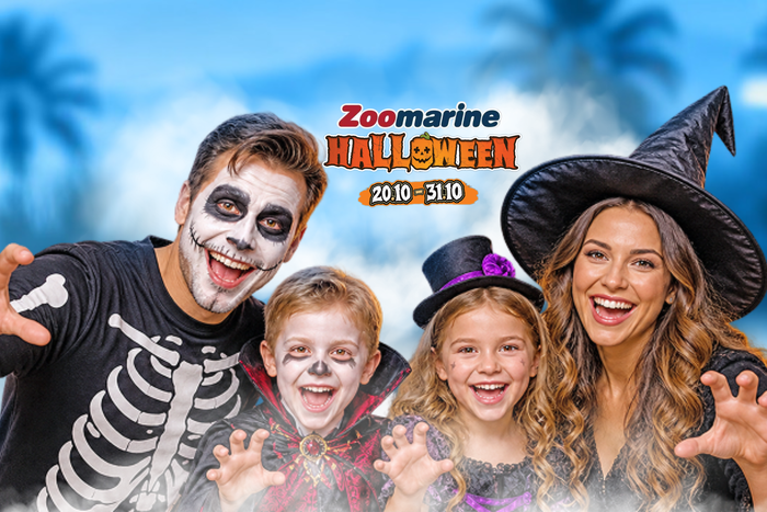 🎃🕷 Doçura ou Travessura? Este ano o Halloween é no Zoomarine! | Algarve