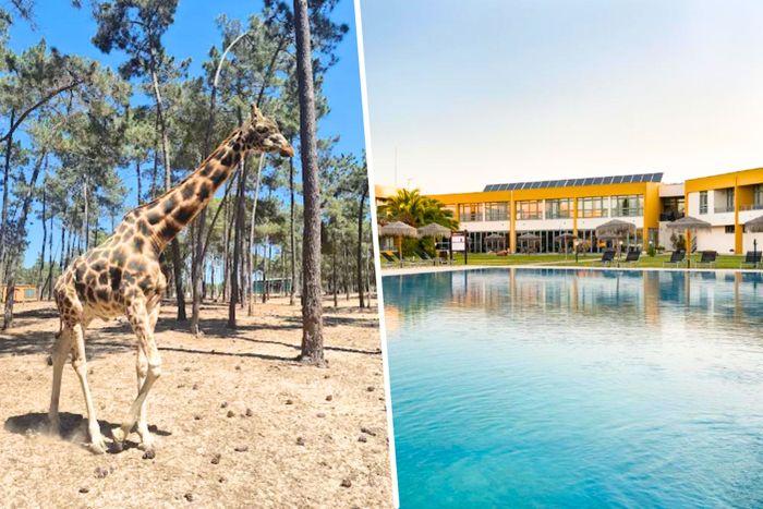 🦒 Visita ao Safari Alentejano e Hotel 4* com Pequeno-Almoço incluído | Vila Nova St. André 