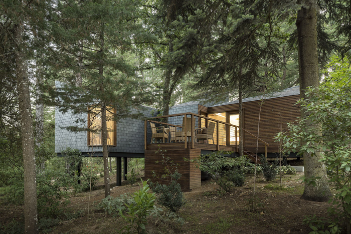 🌳 Retiro único na Natureza em Eco Houses 4* | Pedras Salgadas