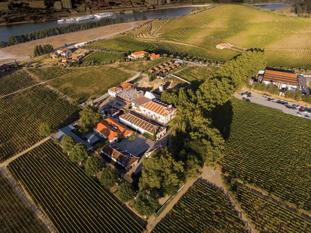 🍷 Experiência única em Hotel 5* no Douro Vinhateiro | Lamego