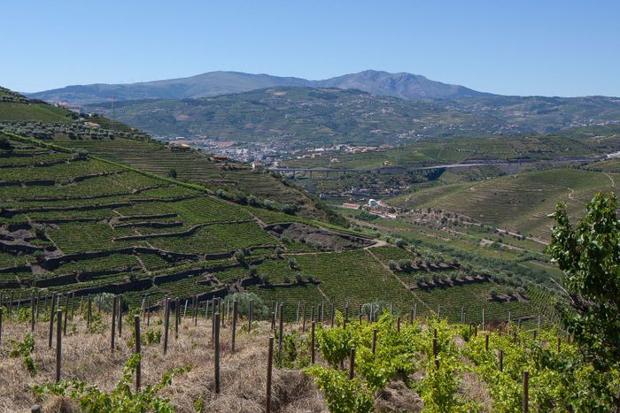 🌿 Fantástico Hotel 4* com pequeno-almoço incluído | Lamego