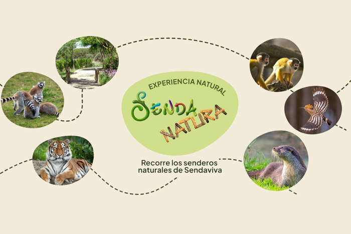 🚶🏼‍➡️🗺️SENDANATURA ¡LA NUEVA ACTIVIDAD DE SENDAVIVA! 🐾🌲Hotel 3★ con desayuno + Visita libre por Sendaviva con Mapa de Rutas | Navarra