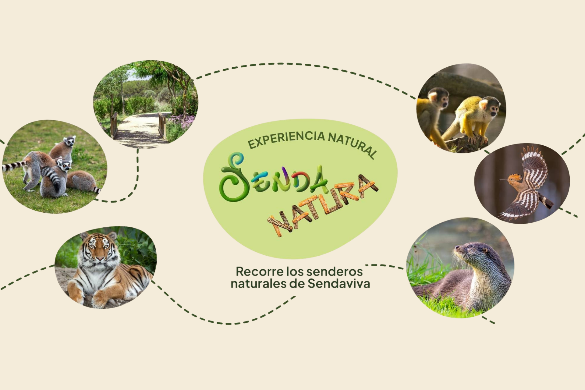 🚶🏼‍➡️🗺️SENDANATURA ¡LA NUEVA ACTIVIDAD DE SENDAVIVA! 🐾🌲Hotel 3★ con desayuno + Visita libre por Sendaviva con Mapa de Rutas | Navarra