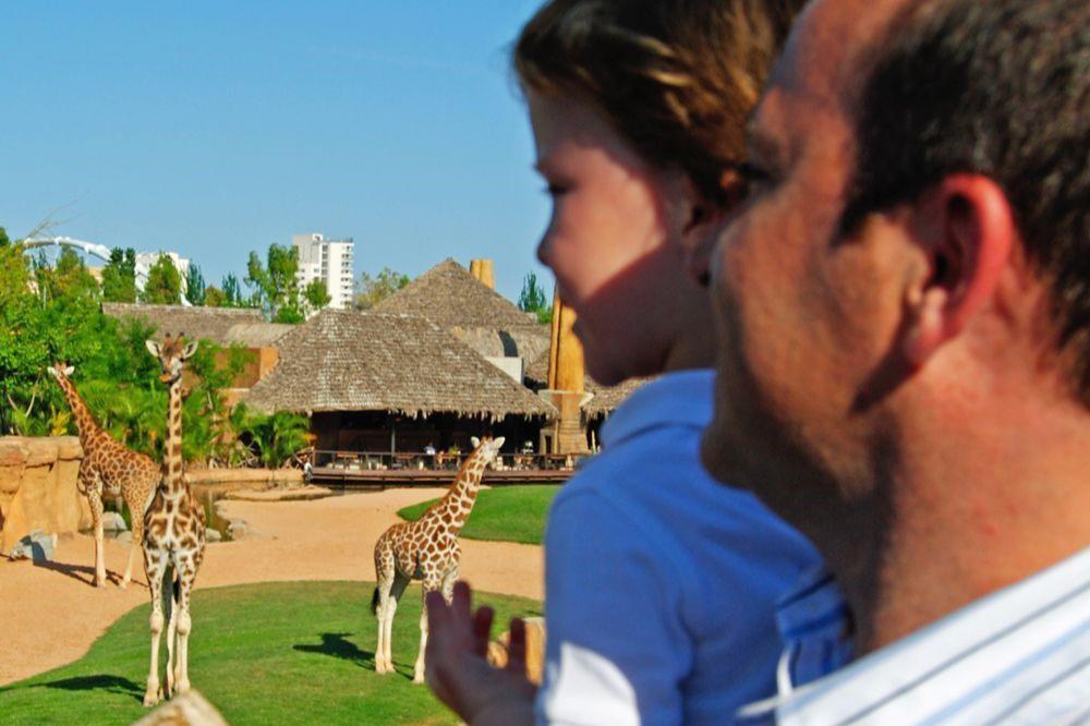 Bioparc Valencia-1