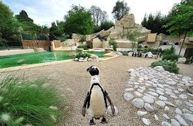 Bioparco di Roma-3