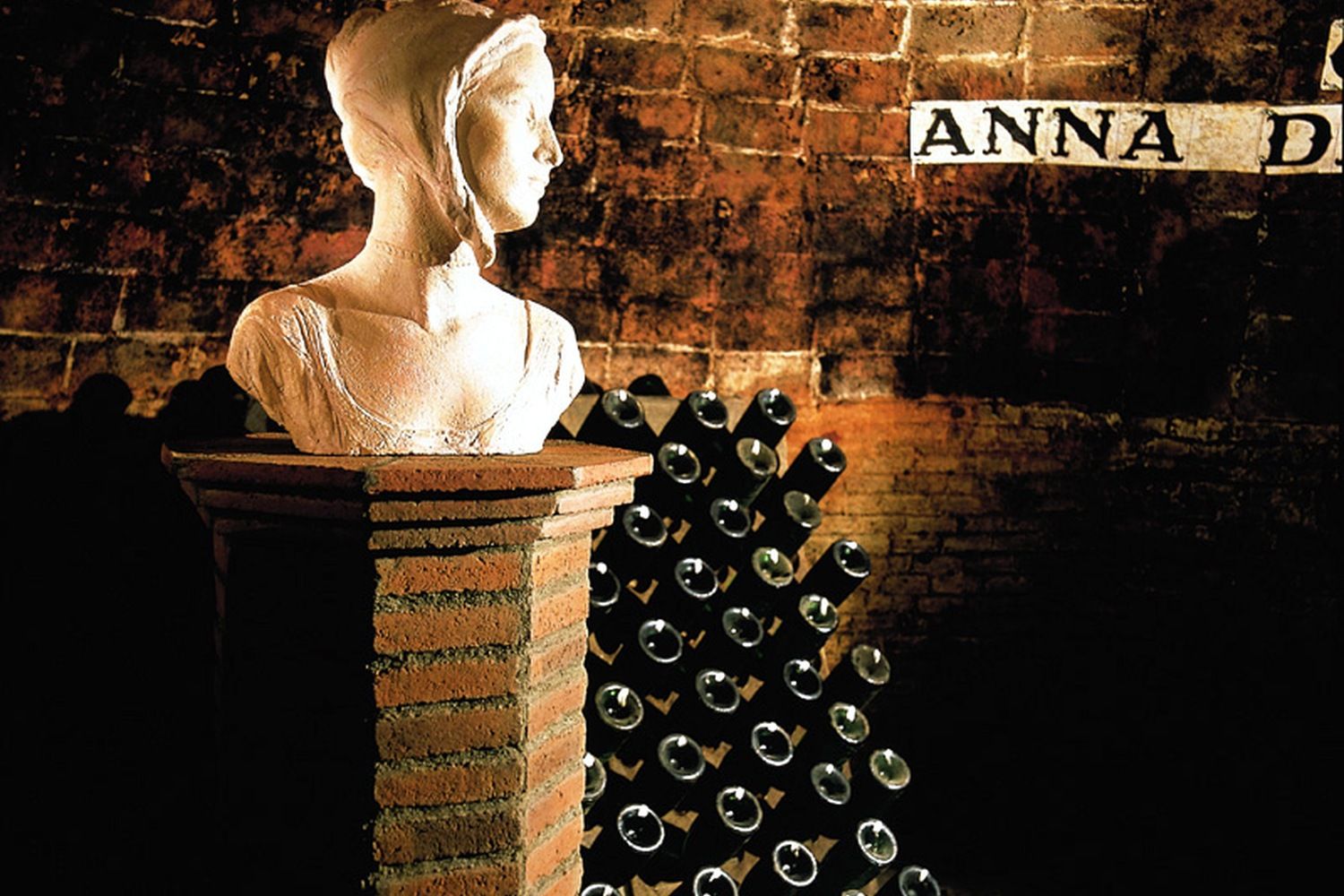 Bodegas Codorníu-6