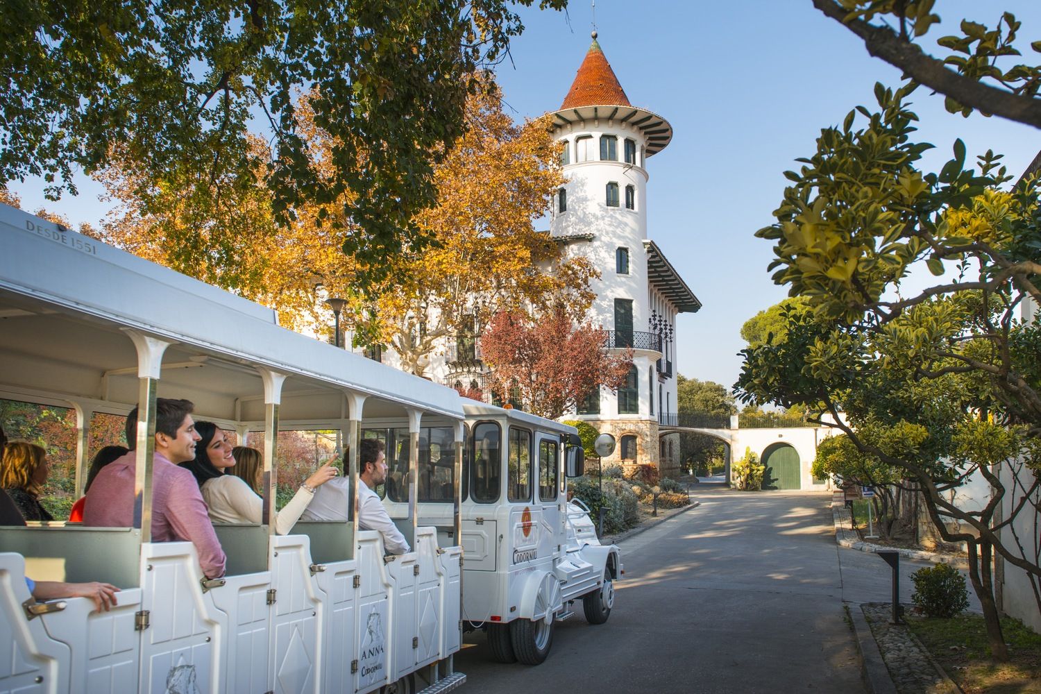 Bodegas Codorníu-9